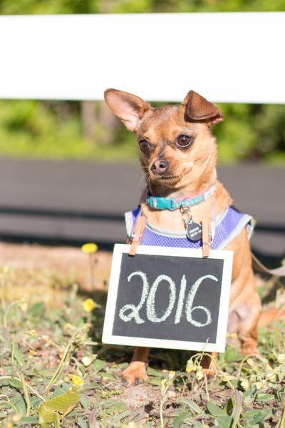 Save-the-Date Photoshoot