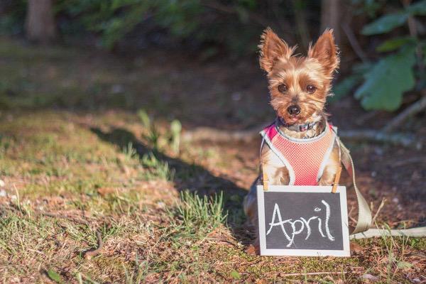 Save-the-Date Photoshoot