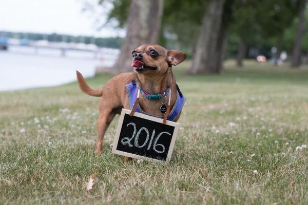 Save-the-Date Photoshoot