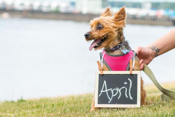 Save-the-Date Photoshoot