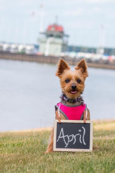 Save-the-Date Photoshoot