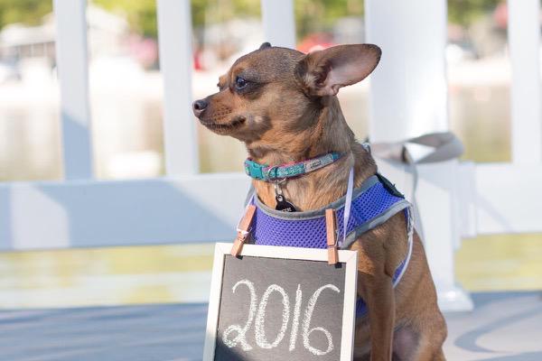 Save-the-Date Photoshoot