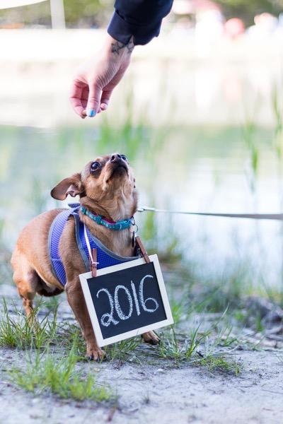 Save-the-Date Photoshoot