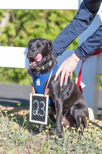 Save-the-Date Photoshoot