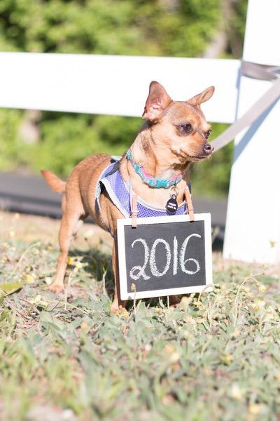 Save-the-Date Photoshoot